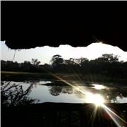 Doy clases particulares de: castellano, francés e inglés. Así como cuidados de niños con capacidades especiales